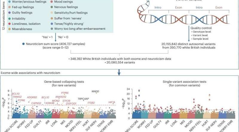 A large-scale genetic study identifies 14 genes associated with neuroticism