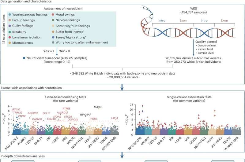 A large-scale genetic study identifies 14 genes associated with neuroticism