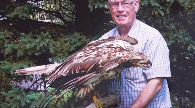 Letter: For 50 years, I have watched lead poisoning kill eagles and other wildlife. We can do better.